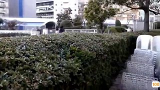 亚洲第一区第二区