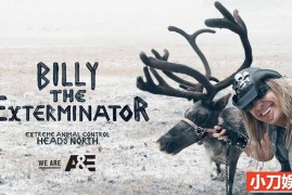 捕猎纪录片《灭虫大师 Billy the Exterminator》第4季全12集 英语中英双字 官方纯净版 1080P/MKV/26G百度网盘下载