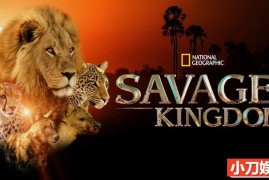 野生动物版权力的游戏纪录片《野蛮王国 Savage Kingdom 2016-2022》第1季全6集 英语外挂中字 官方纯净版 1080/MKV/28.2G百度网盘下载
