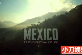 BBC自然生态纪录片《墨西哥:地球上的生命狂欢 Mexico-Earth’s Festival of Life》全3集 720P/1080i高清纪录片百度网盘下载