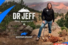 动物救治纪录片《热血兽医师 Dr. Jeff: Rocky Mountain Vet 2015-2022》第6季全14集 英语外挂中字 官方纯净版 1080P/MKV/33.3G 落基山兽医百度网盘下载