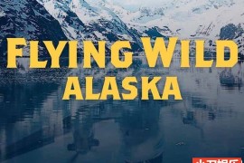 《飞越狂野阿拉斯加 Flying Wild Alaska》第1-3季全31集 英语中英双字纪录片 官方纯净版 1080P/MKV/81.7G百度网盘下载