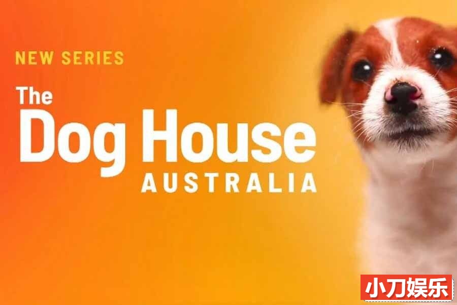 宠物庇护所纪录片《狗狗之家澳洲篇 The Dog House Australia》第1季全10集 英语中英双字 1080P/MKV/15.7G插图