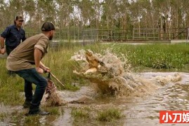 Netflix野生动物保护纪录片《野鳄之境 Wild Croc Territory 2022》第1季全10集 英语多国中字 官方纯净版 1080P/MKV/14.8G百度网盘下载