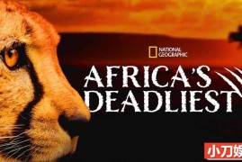 国家地理危险动物纪录片《非洲最致命的动物 Africas Deadliest》第4季全6集 英语中英双字 纯净版 1080P/MKV/14.6G百度网盘下载