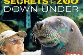 国家地理救治动物纪录片《动物园秘辛：澳大利亚 Secrets of the Zoo: Down Under 2020》第1季全10集 英语外挂中字 官方纯净收藏版 1080P/MP4/8.51G百度网盘下载