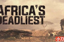 国家地理危险动物纪录片 《非洲最致命的动物 Africas Deadliest》第2季全3集 英语中英双字 纯净版 1080P/MKV/7.63G百度网盘下载