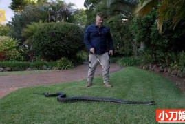 国家地理毒蛇清理纪录片《澳大利亚捕蛇人 Aussie Snake Wranglers 2022》第1季全16集 英语无字 1080P/MKV/16.7G百度网盘下载