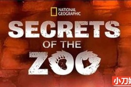 国家地理救治动物纪录片《动物园秘辛 Secrets of the Zoo 2018》 第1季全6集 英语外挂中字 官方纯净收藏版 1080/MKV/19.1G百度网盘下载