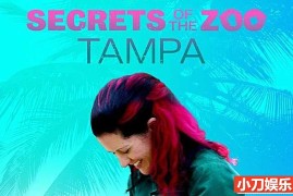 国家地理救治动物纪录片《动物园秘辛：坦帕湾 Secrets of the Zoo: Tampa 2020》第1-2季全12集 英语中字 官方纯净收藏版 1080P/MP4/30.7G 动物园的秘密百度网盘下载