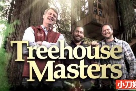 建筑设计纪录片《树屋大师 Treehouse Masters》第10季全11集 英语中英双字 官方纯净版 1080P/MP4/24.68G 树屋建造---百度网盘下载