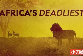 国家地理危险动物纪录片 《非洲最致命的动物 Africas Deadliest》第3季全3集 英语中英双字 纯净版 1080P/MKV/7.72G百度网盘下载