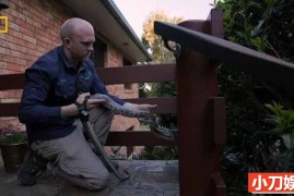 国家地理毒蛇清理纪录片《澳大利亚捕蛇人 Aussie Snake Wranglers 2022》第2季全12集 英语无字 1080P/MKV/11G百度网盘下载
