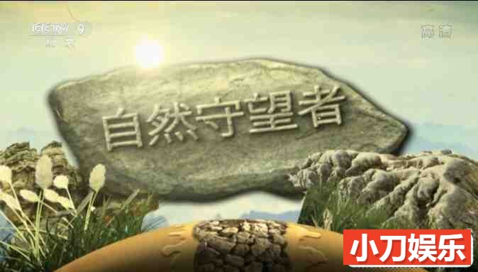 央视《自然守望者 2021》第5季 全5集 汉语中字 1080i高清/7.86G插图
