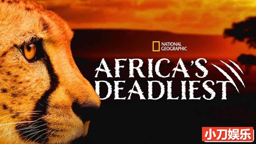 国家地理危险动物纪录片《非洲最致命的动物 Africas Deadliest》第4季全6集 英语中英双字 纯净版 1080P/MKV/14.6G插图