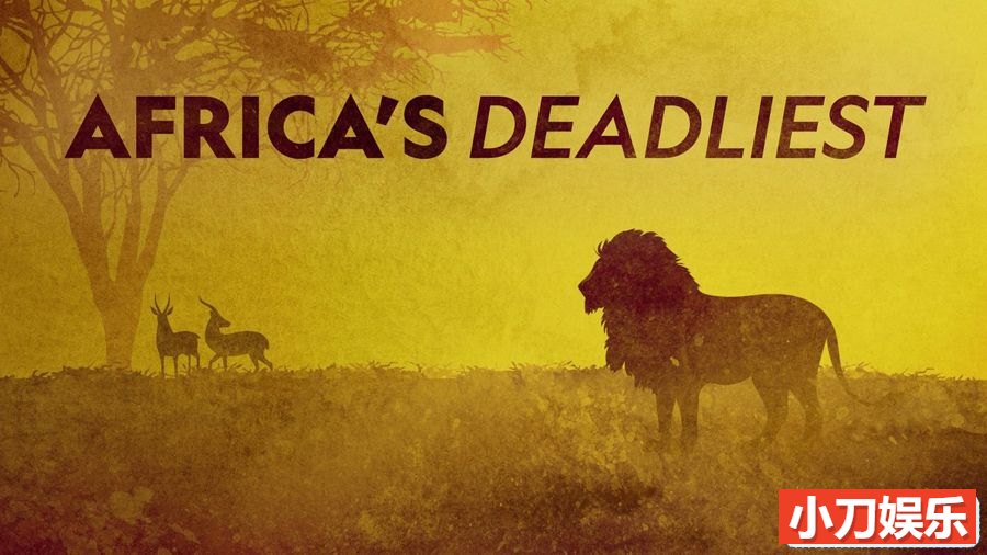 国家地理危险动物纪录片 《非洲最致命的动物 Africas Deadliest》第3季全3集 英语中英双字 纯净版 1080P/MKV/7.72G插图