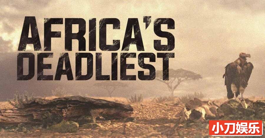 国家地理危险动物纪录片 《非洲最致命的动物 Africas Deadliest》第2季全3集 英语中英双字 纯净版 1080P/MKV/7.63G插图